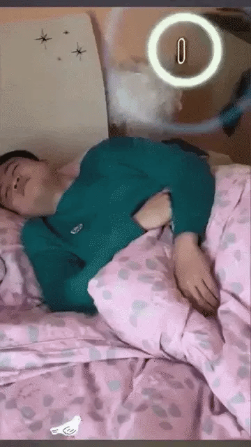 GIF