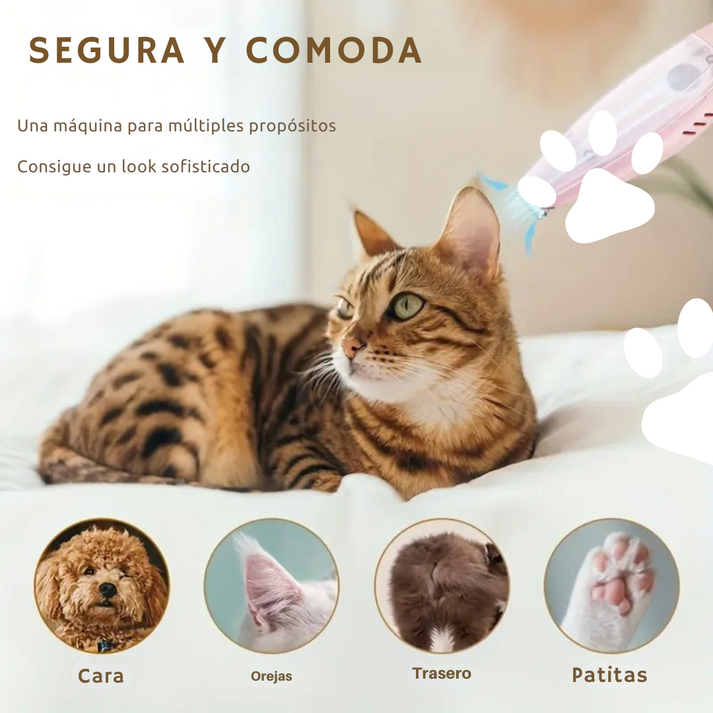 Afeitadora de mascotas, Cuida la Higiene de tus mascotas, Evita hongos y bacterias