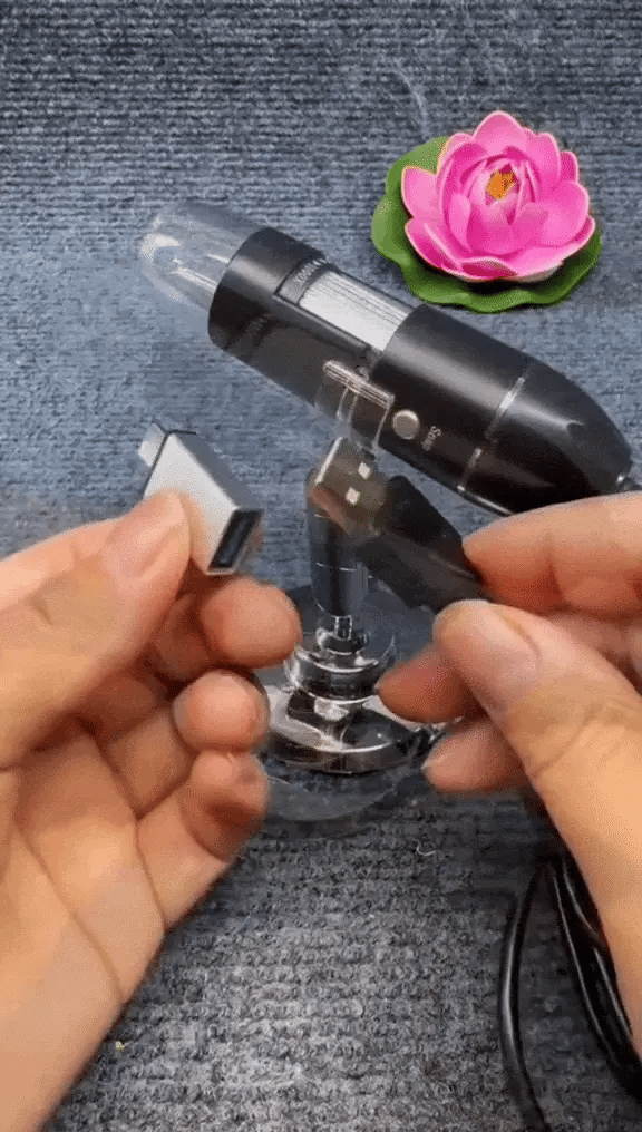 GIF