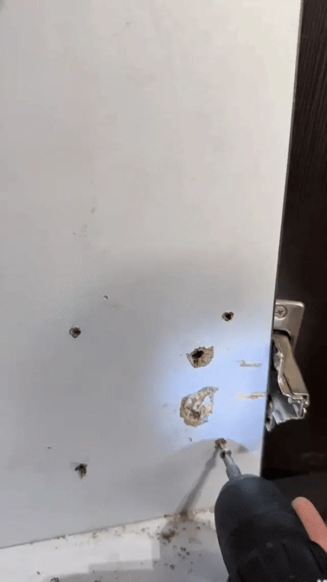 GIF