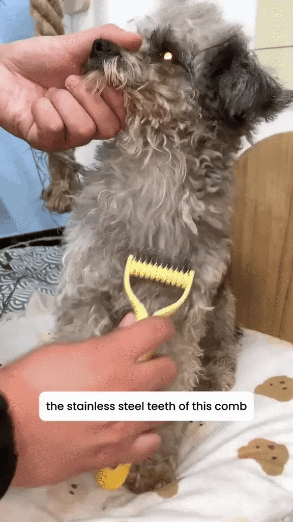 GIF