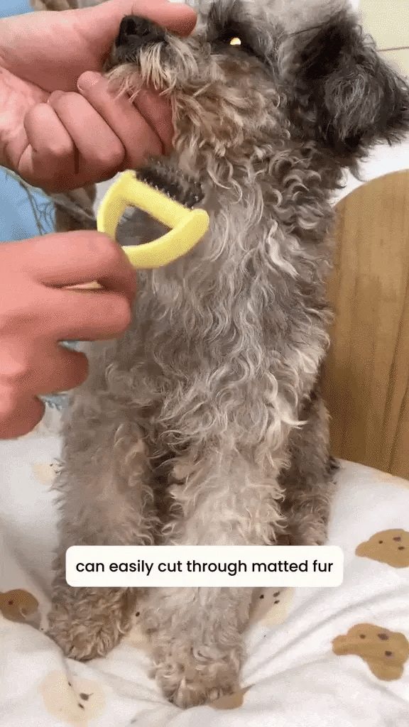 GIF